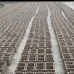 استخدام کارگر بلوک زن ماهر وخوش اخلاق