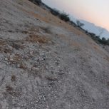 فروش زمین گلنگی سرخون