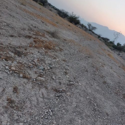 فروش زمین گلنگی سرخون