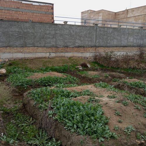 زمین زنگیان