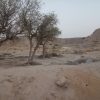 فروش زمین