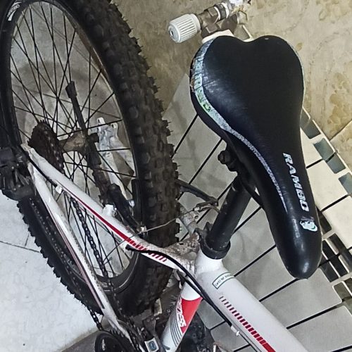 دوچرخه در حد نو