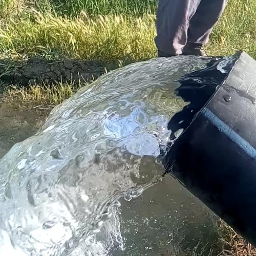 فروش 500 متر زمین کشاورزی همراه یک ونیم ساعت اب چاه عمیق