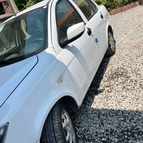 سایناسفید سالم