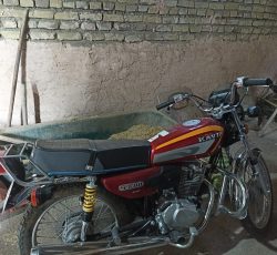 موتور 125 استارتی کویر