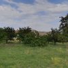 فروش حدودا 1000متر باغ در روستای سار