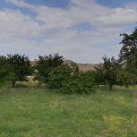 فروش حدودا 1000متر باغ در روستای سار