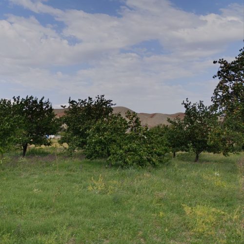 فروش حدودا 1000متر باغ در روستای سار