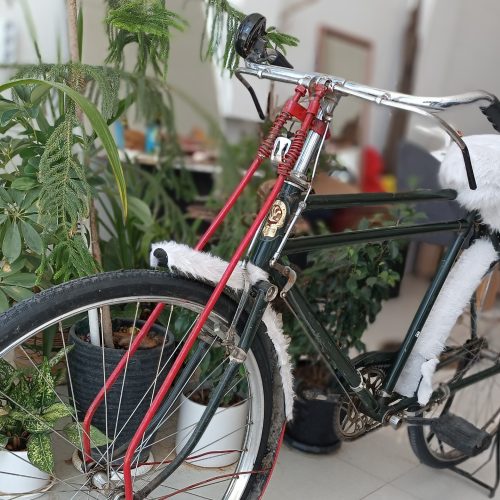 چرخ دکور و ورزش