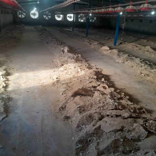 فروش کود گوشتی پلت