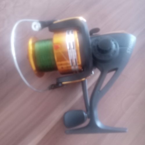 لنسر ماهیگیری