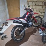 تریل باسل250