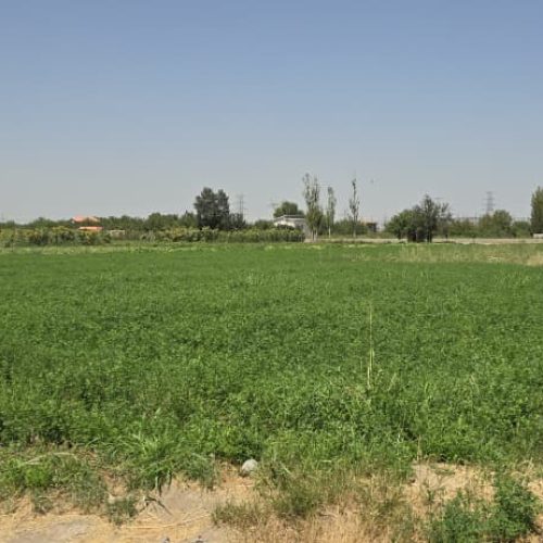 زمین کشاورزی‌و باغی دارای چاه عمیق با پروانه