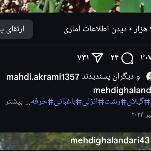 باغبانی حرفه ای