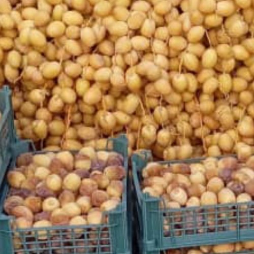 خارک ….خلال فروشی برحی درجه 123
