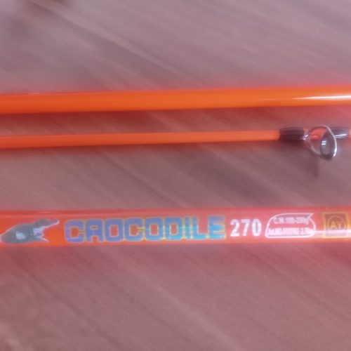 لنسر ماهیگیری