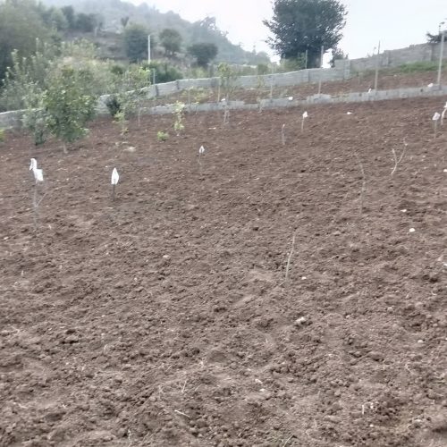 فروش زمین 450 متری