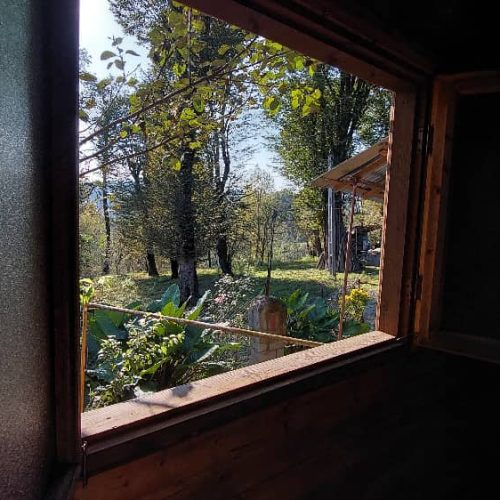 اجاره کلبه جنگلی