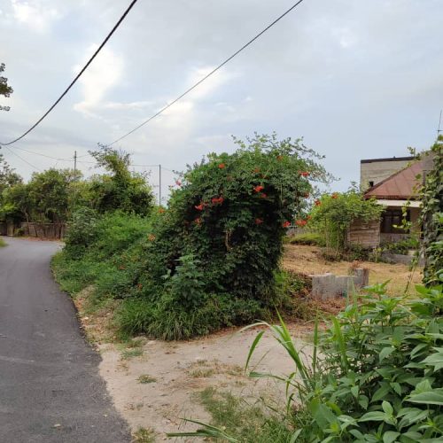 فروش زمین زرد مسکونی