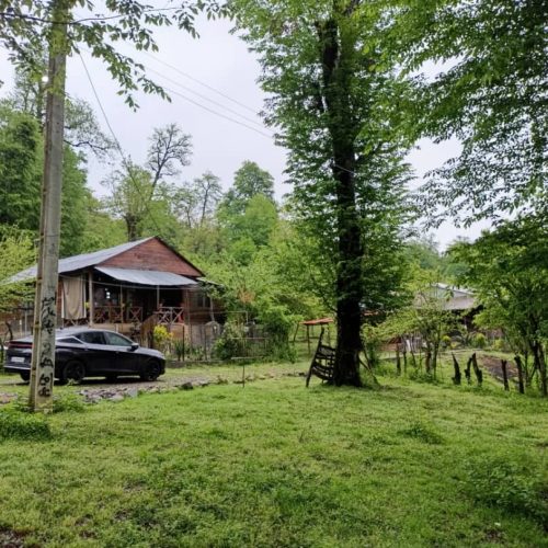 اجاره کلبه جنگلی