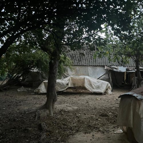 فروش یک قطعه زمین به متراژ 700 متر  در شفت پایین مردخه