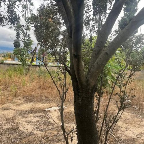 فروش زمین 330 متری