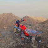 موتور سالم در حد خشک تازه تعمیر