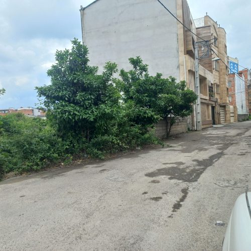 فروش قطعه زمین در کوچه ارغوان خیابان بابل