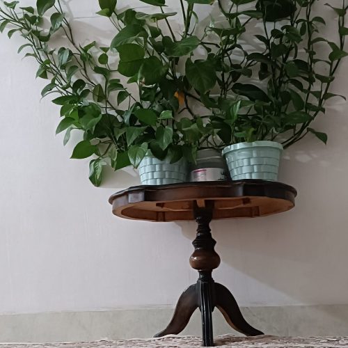 گلدان های باغچه ای  وپاسیو