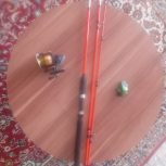 لنسر ماهیگیری