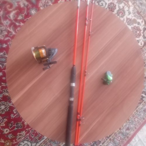 لنسر ماهیگیری