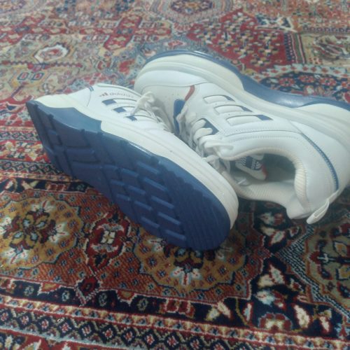 کتونی شماره 43