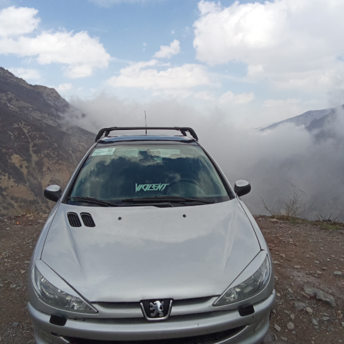 پژو206 اسپرت