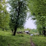 اجاره کلبه جنگلی