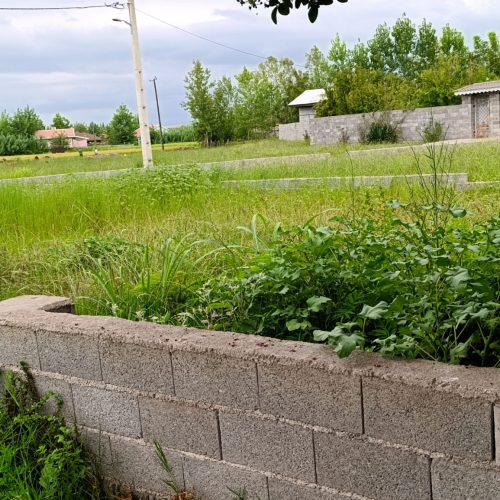 زمین در رشت