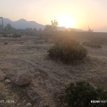 زمین ساخ و ساز