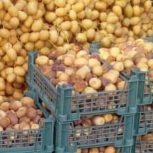 خارک ….خلال فروشی