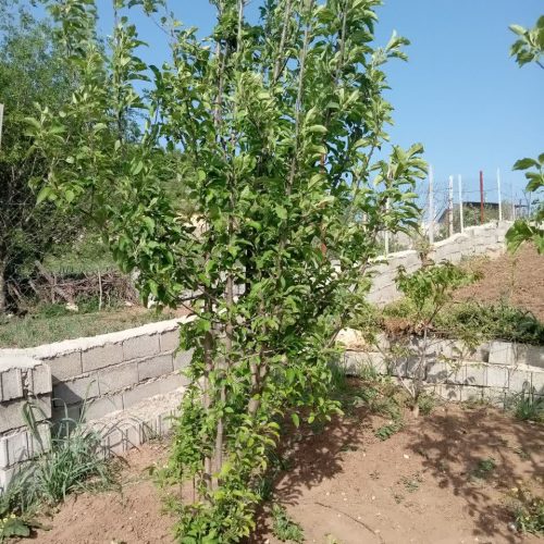 فروش زمین 450 متری