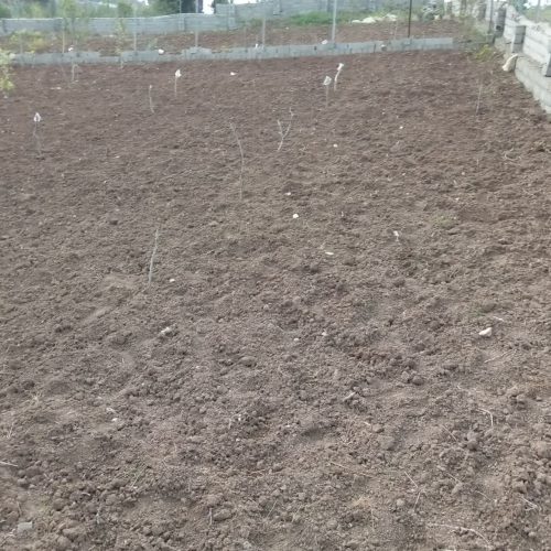 فروش زمین 450 متری