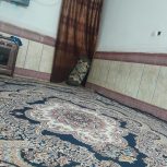 اجاره منزل مسکونی