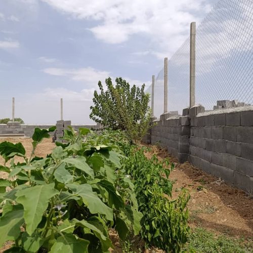 فروش باغ