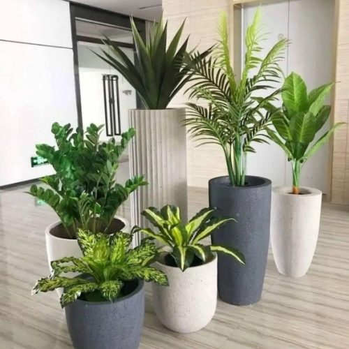 خدمات باغبانی هرسکاری گل کاری و تعویض خاک‌گلدون در منزل