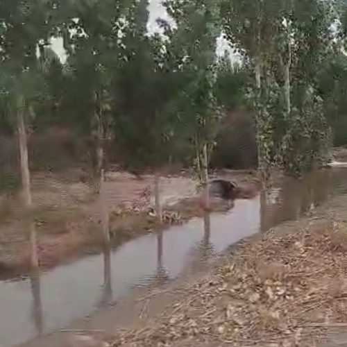 فروش (فوری) و (ویژه)