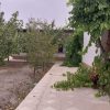باغ ویلا