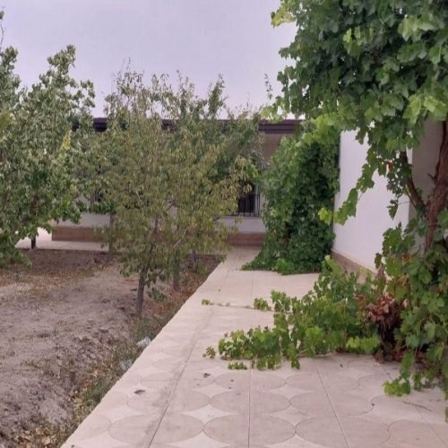 باغ ویلا