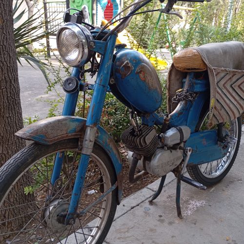 موتور گازی رکس کلکسیونری سلامت تو بینظیرپلپ دست نخورده