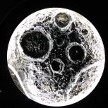 تابلو تکسچر