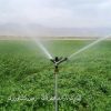 زمین کشاورزی