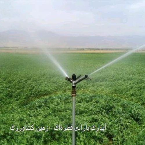 زمین کشاورزی