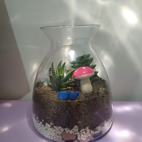 تراریوم کاکتوس،مناسب هدیه و دکور